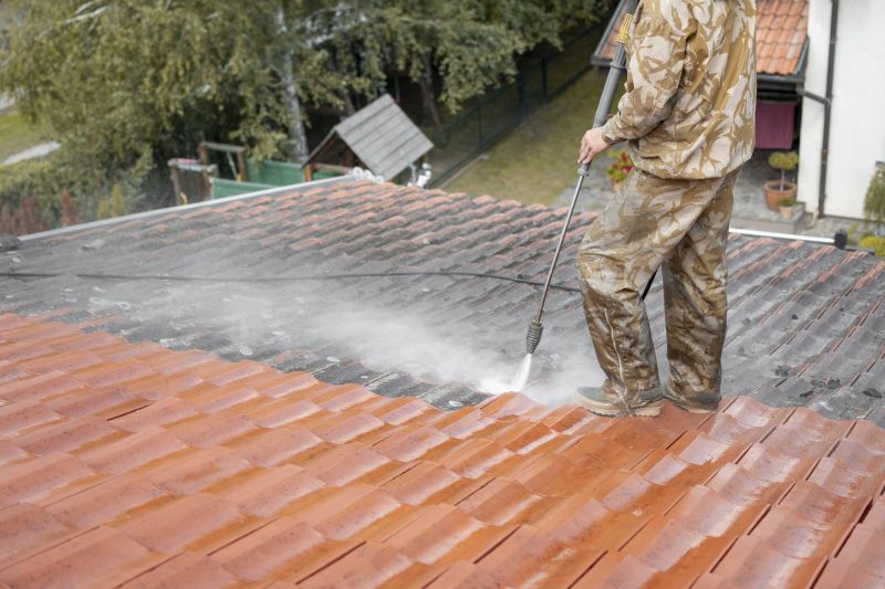Metal Roof Cleaning