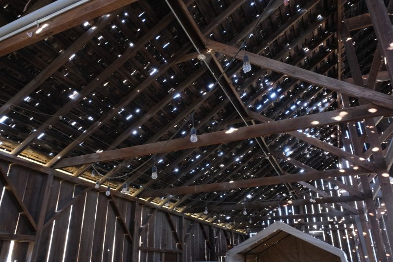 Roof Moss Cleaning Costs — Cost of Roof Moss Cleaning Service