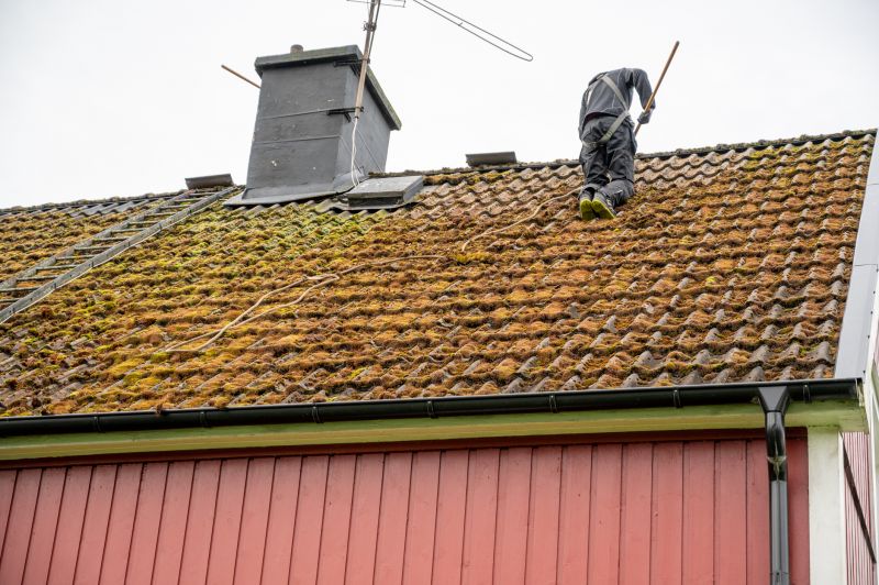 Roof Moss Cleaning in Progress