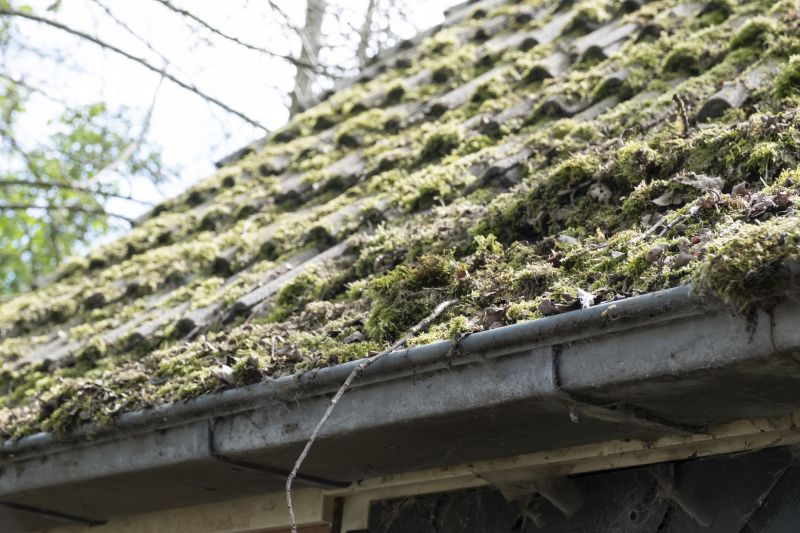 Roof Moss Cleaning Service