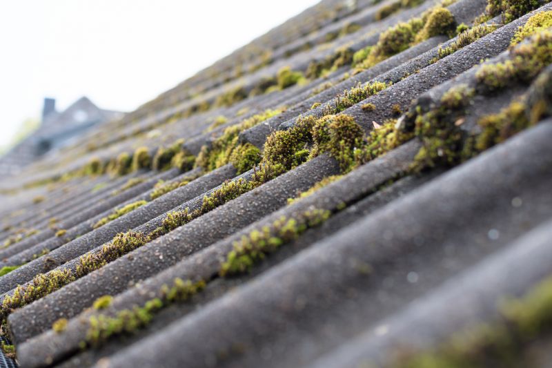 Roof Moss Cleaning Service