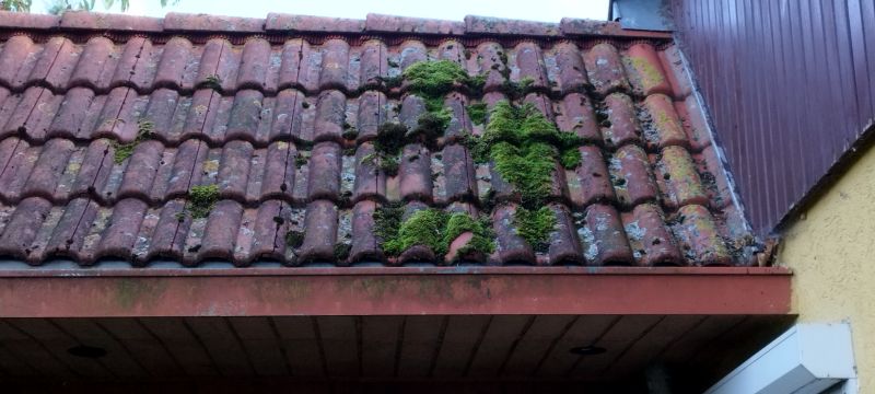Roof Moss Cleaning Service