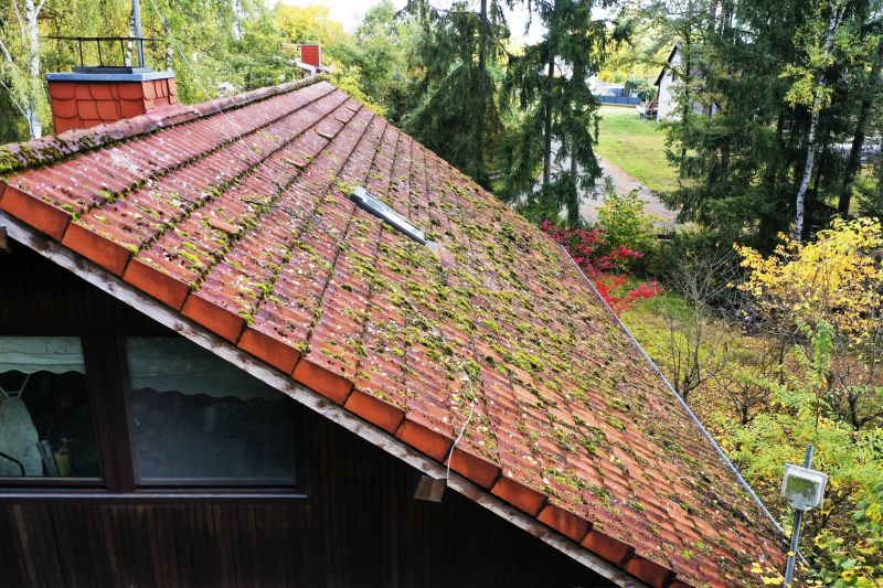 Roof Moss Cleaning Service