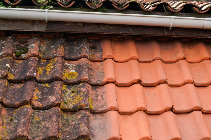 Roof Moss Cleaning Service