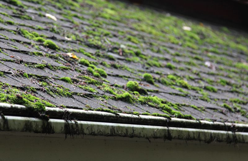 Roof Moss Cleaning Service