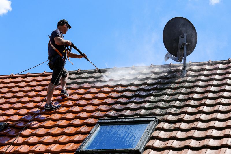 Roof Cleaning Specialists