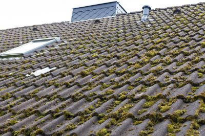 Remove Unsightly Moss